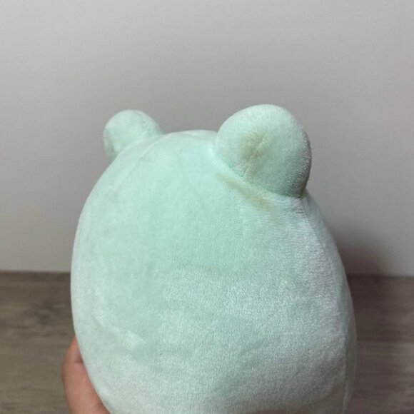 Squishmallow Fritz Frog Plushie 5.5” 2024 Easter Plush Toy - Picture 5 of 5